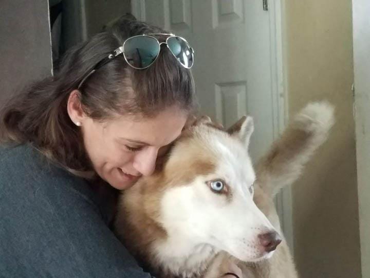 home again found pet